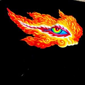 Tool concert tee shirt never worn! Size small!